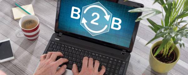 Plateforme en ligne B2B