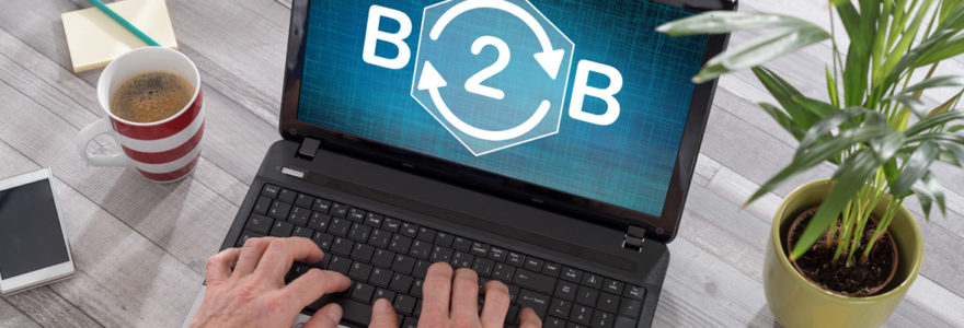 Plateforme en ligne B2B